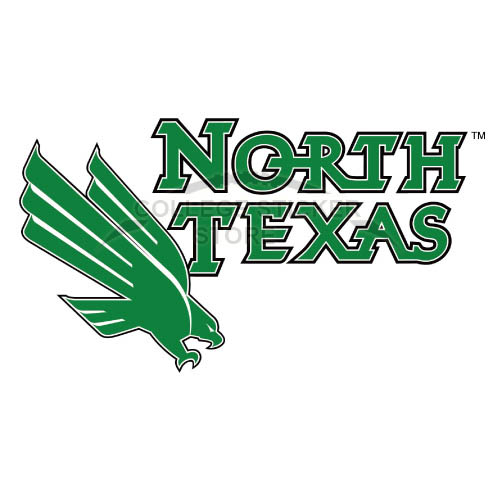Personal North Texas Mean Green Iron-on Transfers (Wall Stickers)NO.5620